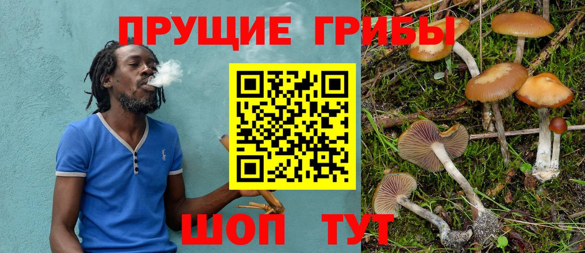 Галлюциногенные грибы Psilocybe  Галлюциногенные грибы Magic Shrooms  Вход с VPN  Гурьевск 